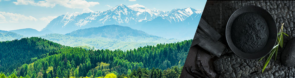 活性炭应用领域